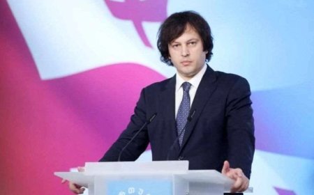 Aİ səfiri radikalizm və qütbləşmənin qızışdırılmasında birbaşa iştirak edib