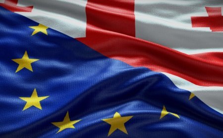 Azərbaycan və Ermənistana münasibət fərqlidir: Gürcüstan Avropa İttifaqından narazıdır