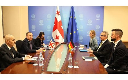Almaniya XİN: Gürcüstandakı səfirimizə qarşı aqressiv ritorikanı pisləyirik