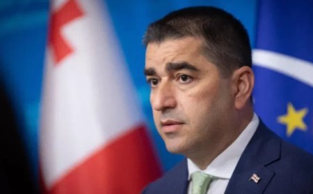 Yerli seçkilərdə zorakılıq olarsa, məsuliyyəti Aİ institutları da bölüşəcək