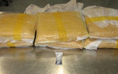 İrandan Gürcüstana keçən avtomobildən 200 kiloqram heroin aşkarlanıb