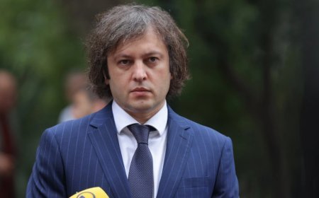 Heç kimə Gürcüstanda inqilabi planları həyata keçirməyə imkan verməyəcəyik