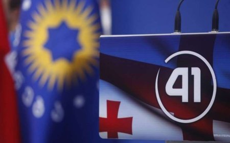 Gürcüstanın Baş naziri: Bələdiyyə seçkilərində qalib gələcəyik