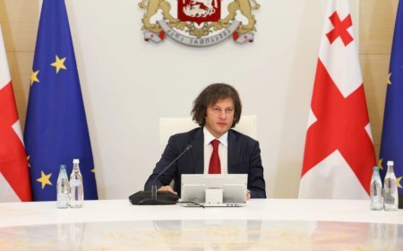 "Gürcüstan Moldova hakimiyyətini təbrik etməyəcək"