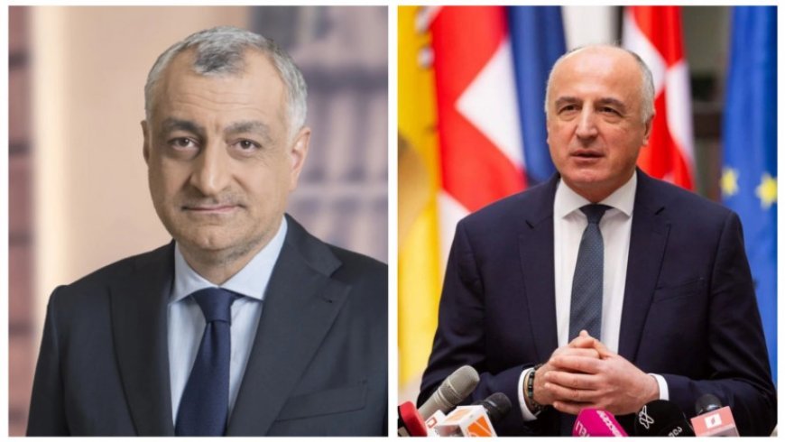 Prezident Mamuka Xazaradze və Badri Caparidzeni əfv etdi