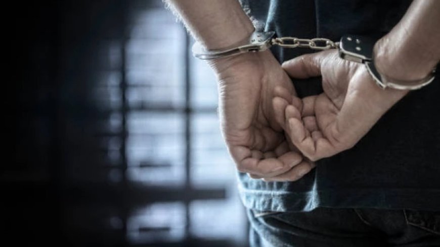 Polis Tbilisidə bir nəfəri saxladı