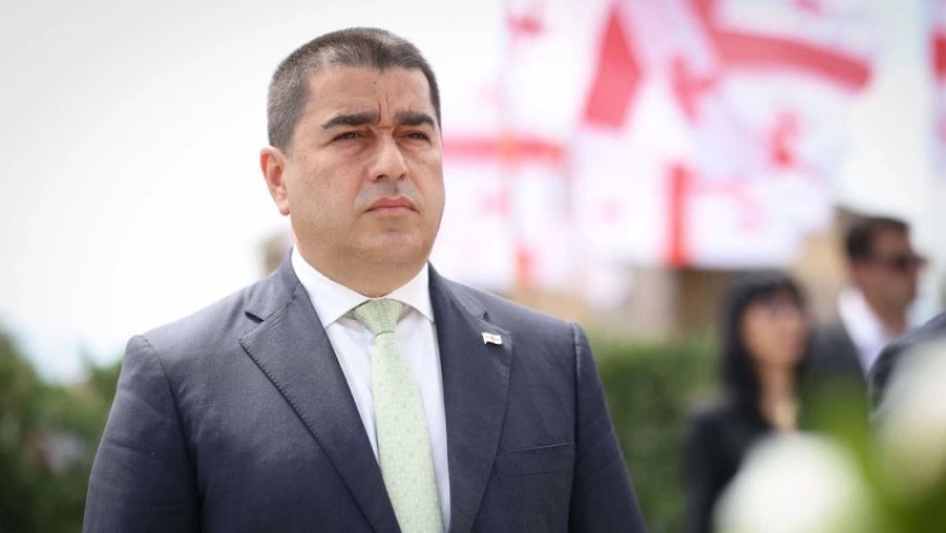 Gürcüstanı heç kim, o cümlədən də Aİ sıxışdıra bilməz