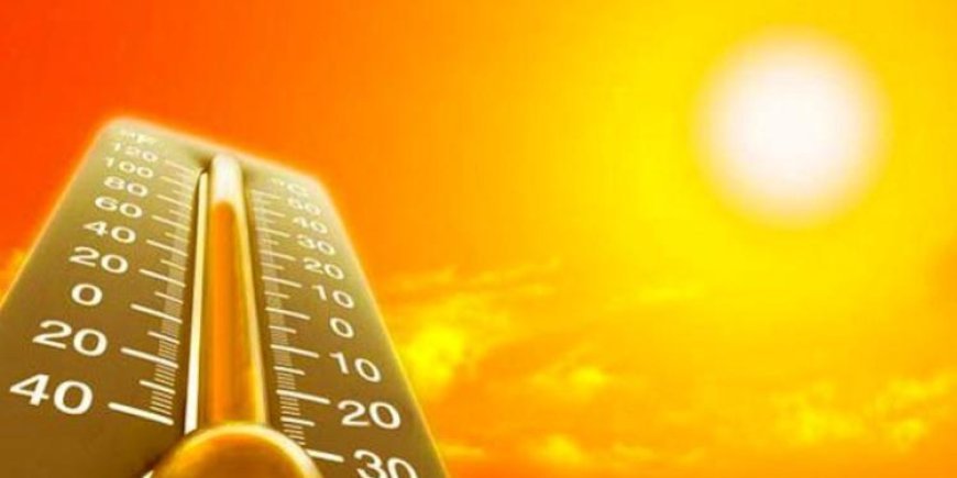 Bu il Avropada anomal istilər 24 mindən çox insanın ölümünə səbəb olub