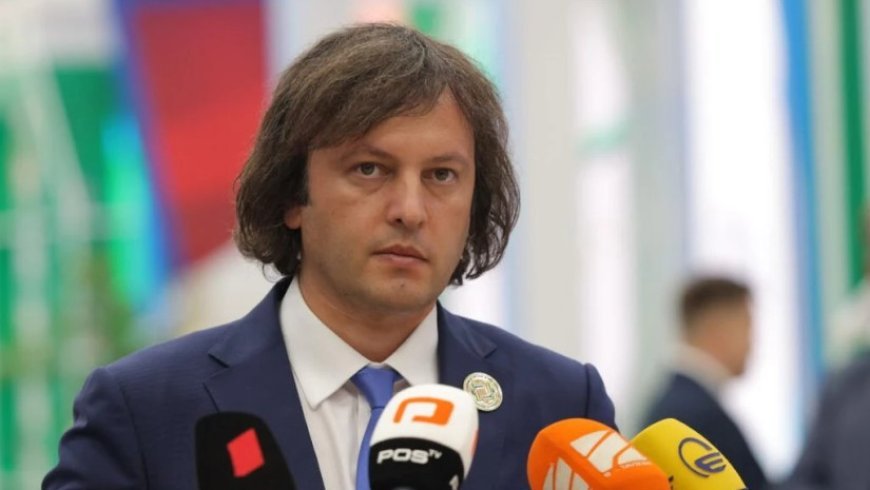 Konkret səfirlərin və səfirliklərin Gürcüstanda radikalizmi təşviq etməsi çox pisdir