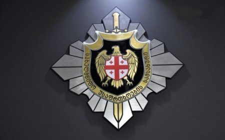 Gürcüstan DTX: Ukraynadan gətirilən partlayıcı maddə ilə bağlı iki versiya var