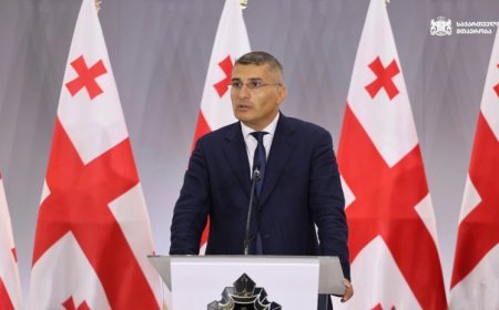 Gürcüstan DTX: Seçki günü təxribatlar planlaşdırılır