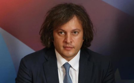 AŞPA qətnamələri Gürcüstan üçün dəyər kəsb etmir