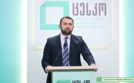 Gürcüstanda yerli seçkiləri 28 beynəlxalq təşkilat müşahidə edəcək