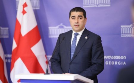 Gürcü xalqı bu gün radikalları "tarix çayına süpürəcək"