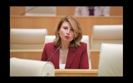 Gürcüstanın ABŞ-dakı səfiri Dövlət Departamentinə çağırılıb