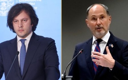 Aİ səfiri Tbilisi küçələrində baş verənləri pisləməlidir