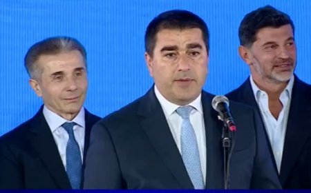 Gürcüstanda bu partiyalar ləğv ediləcək