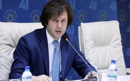 Gürcüstanda çevriliş cəhdinin pislənilməməsini tənqid edib