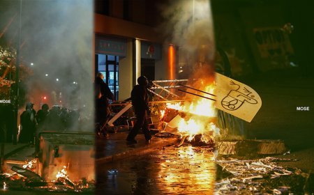 Aksiyaya əcnəbilər və diplomatlar dəstək verib