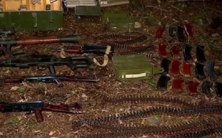 Gürcüstan DTX böyük faciənin qarşısını aldı