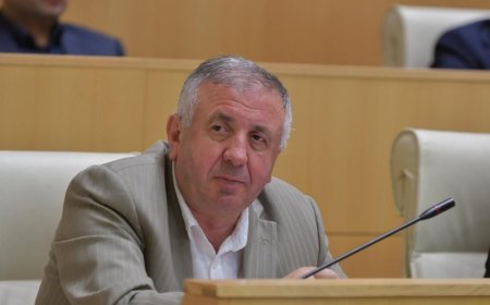 Gürcüstan parlamentində Azərbaycanla dostluq qrupunun üzvlərinin sayı artırılıb