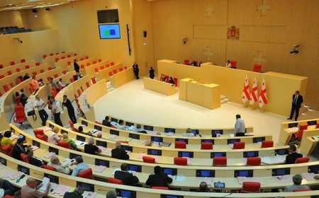 Səfirlərin fəaliyyətində Gürcüstanın daxili işlərinə müdaxilə əlamətləri var