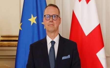 Almaniya səfiri Gürcüstan XİN-in görüşündə iştirakdan imtina edib