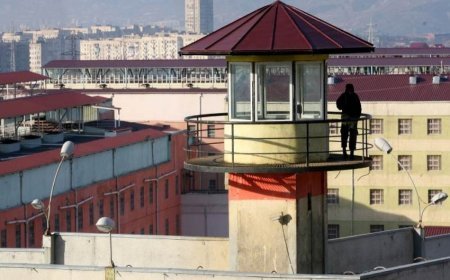 Tbilisidə keçmiş həbsxana rəisi intihar edib