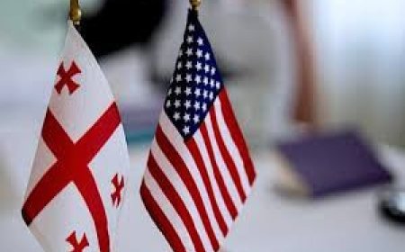 Gürcüstanda inqilabi proseslər ABŞ-dan maliyyələşdirilir