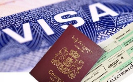 AB 61 ölkəyə vizasız rejimi məhdudlaşdırır - Gürcüstan da var