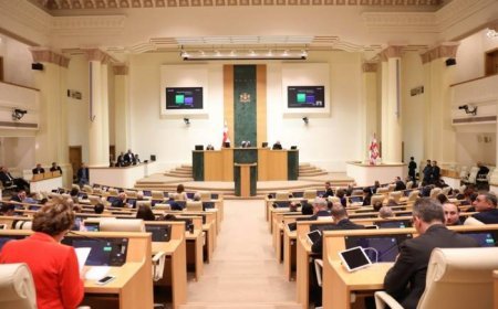 “Gürcü Arzusu” Saakaşvilinin partiyasının ləğvi ilə bağlı iddia hazırlayıb