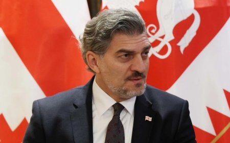 Mixeil Qavelaşvili 70 nəfəri əfv edib