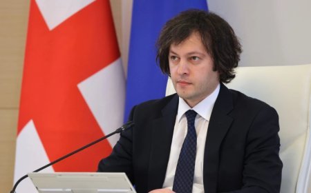 Kobaxidze ATƏT sədri ilə görüşünü ləğv edib