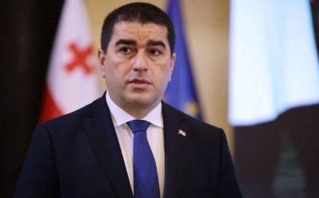 ATƏT sədri Gürcüstan qanunvericiliyini pozub