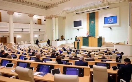 Gürcüstan parlamenti nümayişlərə nəzarəti sərtləşdirən qanunvericilik paketini ilk oxunuşda qəbul edib