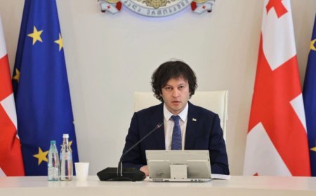 Gürcüstanda 10-a yaxın siyasi partiyanın fəaliyyətinin qadağan ediləcəyi gözlənilir