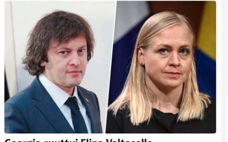 ATƏT sədri Gürcüstan Baş nazirinin ittihamlarına cavab verib