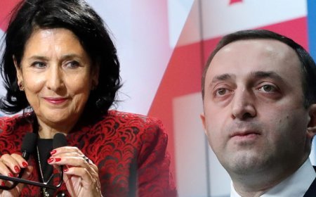 Salome Zurabişvili axtarış əməliyyatları seriyasına münasibət bildirib