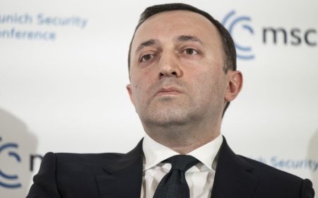 İstintaq xidməti Qaribaşvilinin arvadının qardaşının evinə də girdi