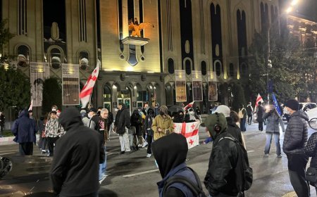 Rustavelidə yolun bağlanması ittihamı ilə ümumilikdə artıq 12 nəfər saxlanılıb