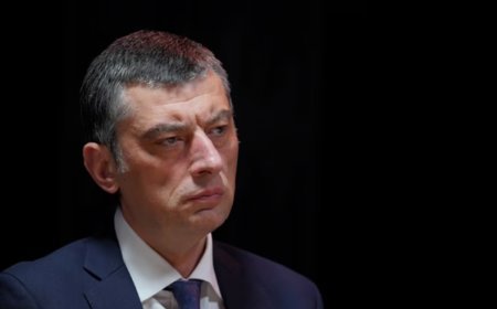 Giorgi Qaxariyanın partiyası parlamentə daxil olur