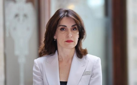 Aİ-nin Gürcüstana vizasız rejimin ləğvi ilə bağlı təhdidləri əsassızdır