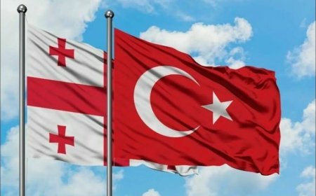 Türkiyə və Gürcüstan səhiyyə sahəsində əməkdaşlıq edəcək