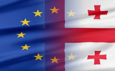 Aİ-nin Gürcüstana münasibətinin dəyişəcəyinə ümid edirik