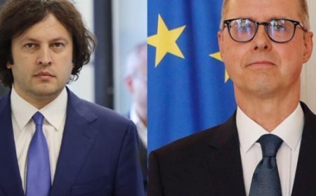 Almaniyanın Gürcüstandakı səfirini geri çağırması düzgün və praqmatik qərardır