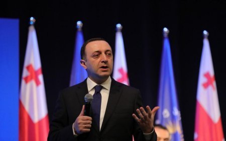 İrakli Qaribaşviliyə qarşı ittiham irəli sürülməyib