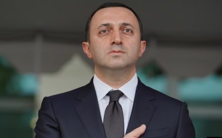 İrakli Qaribaşviliyə qarşı ittiham irəli sürülüb