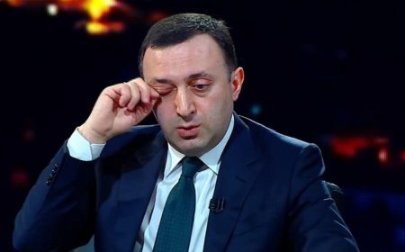 Qaribaşviliyə 1 milyon lari məbləğində girov təyin edilib