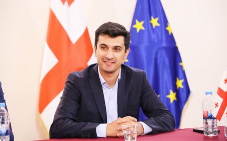 Gürcüstanın azərbaycanlı meri vəzifəsinin icrasına başlayıb