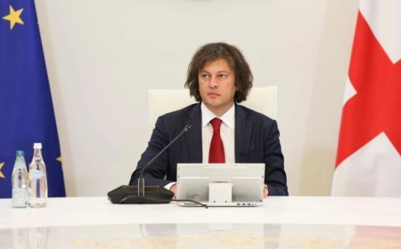 Gürcüstanda siyasi radikalizmə son qoyulacaq